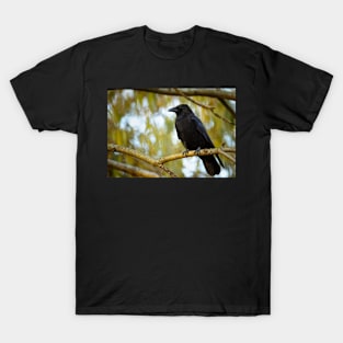 Black raven T-Shirt